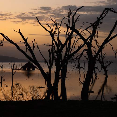 Photo #13501317