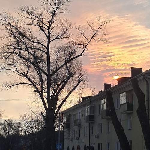 Photo #13501375