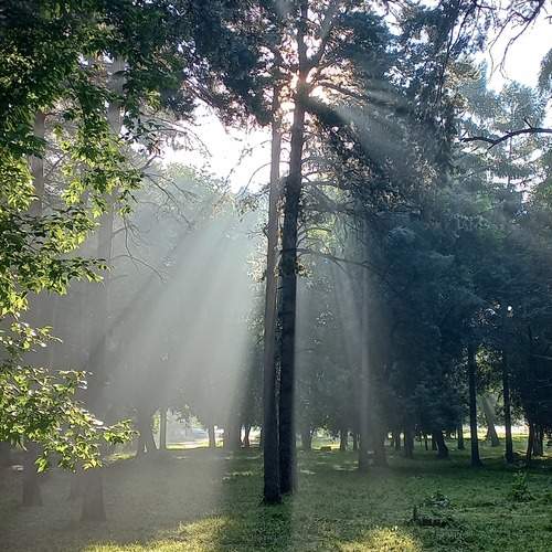 Photo #13501380