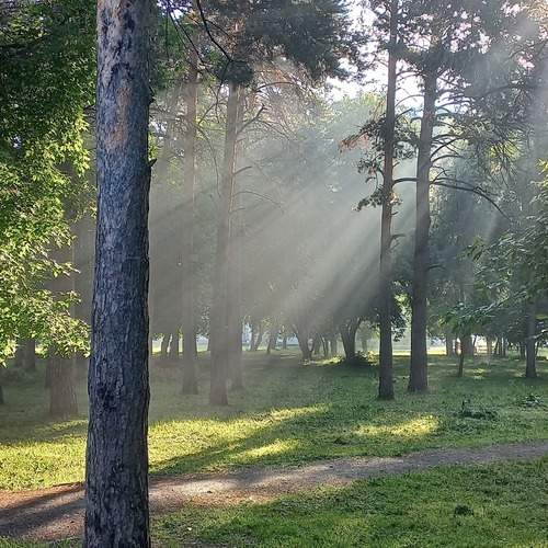 Photo #13501383