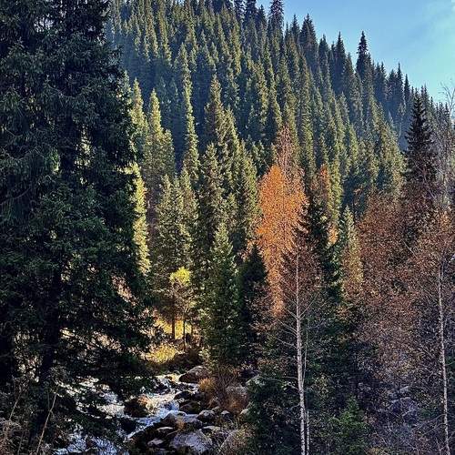 Photo #13501450