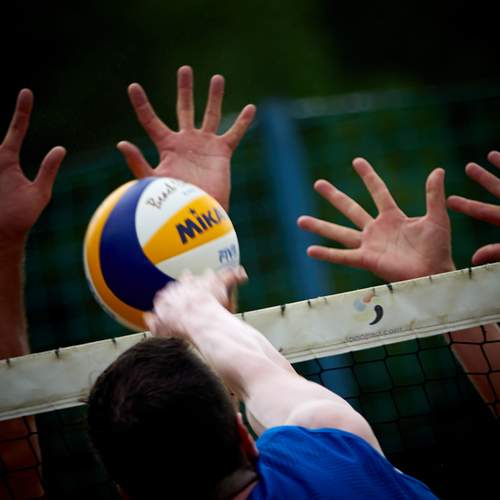 Photo #13501523