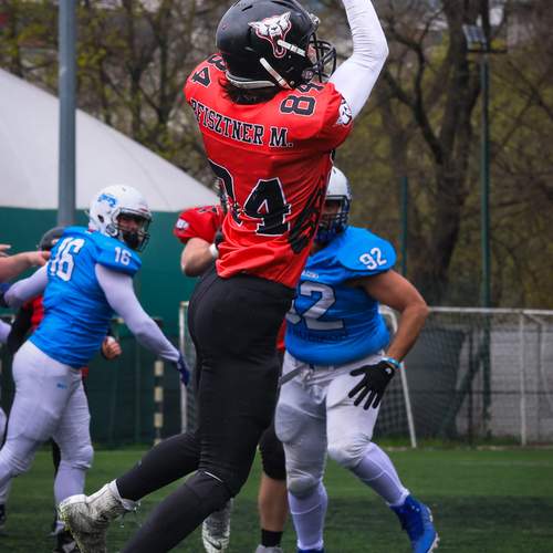 Photo #13501543