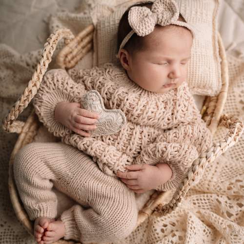 Photo #13501598