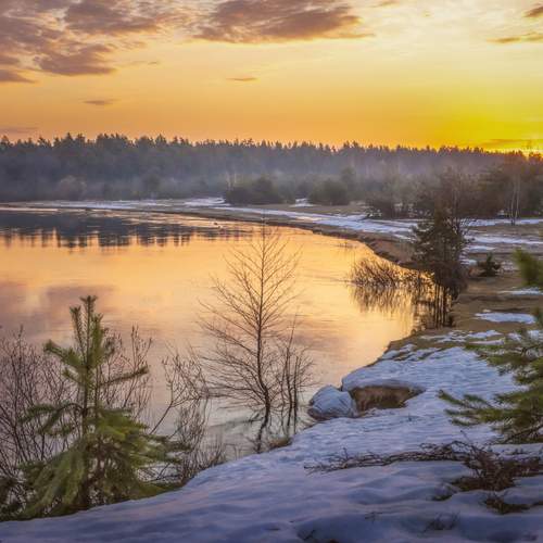 Photo #13501670