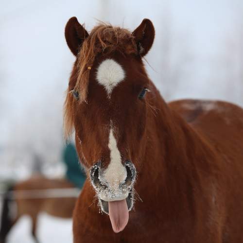 Photo #13501800