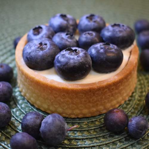 Photo #13501807