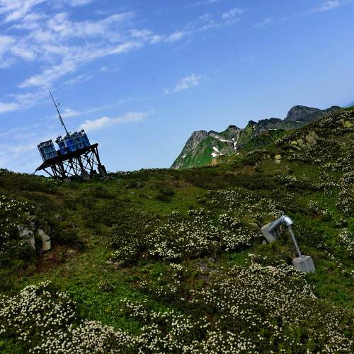 Photo #13502036
