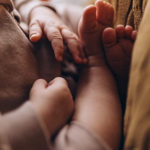 Photo #13502060