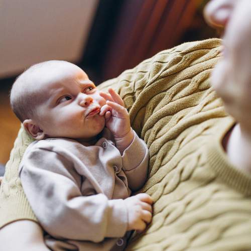 Photo #13502061