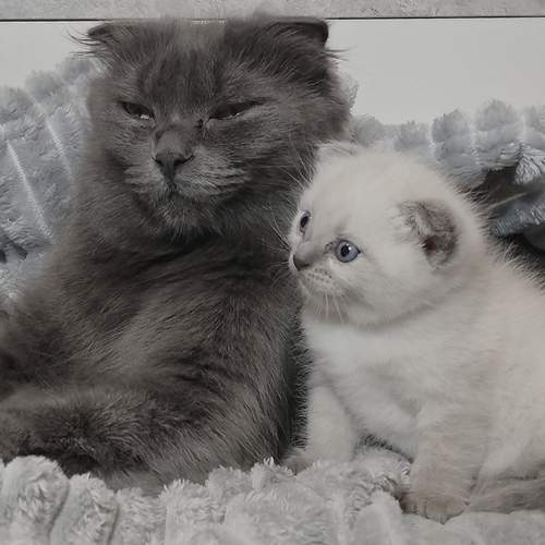 Photo #13502131