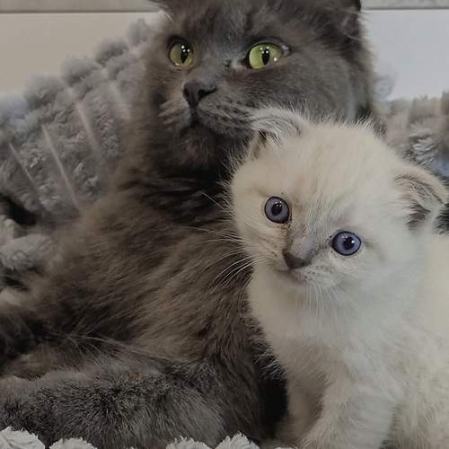 Photo #13502160