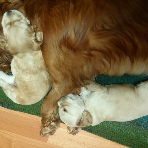 Photo #13502172