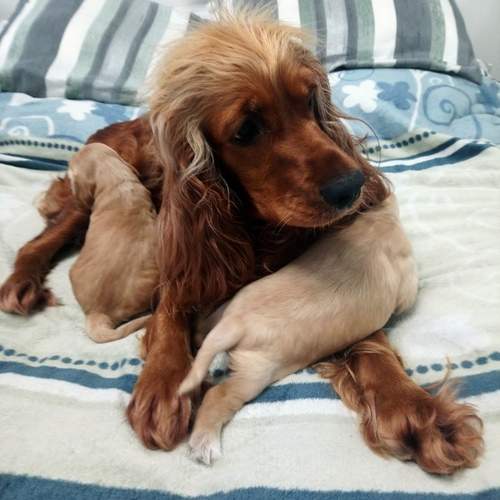 Photo #13502174