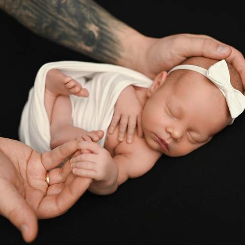 Photo #13502298