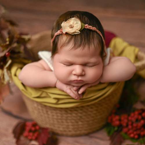 Photo #13502301