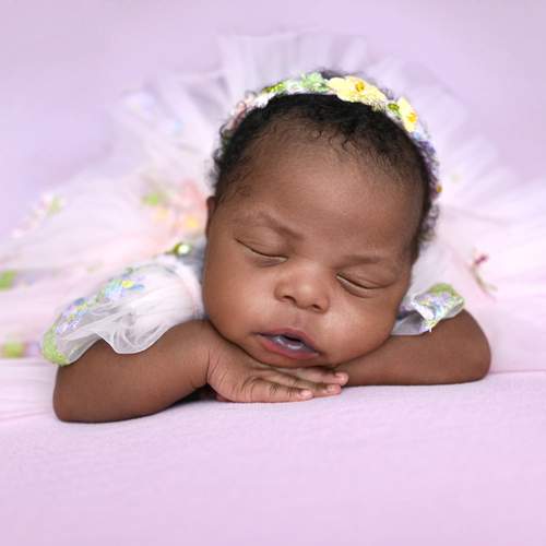 Photo #13502311