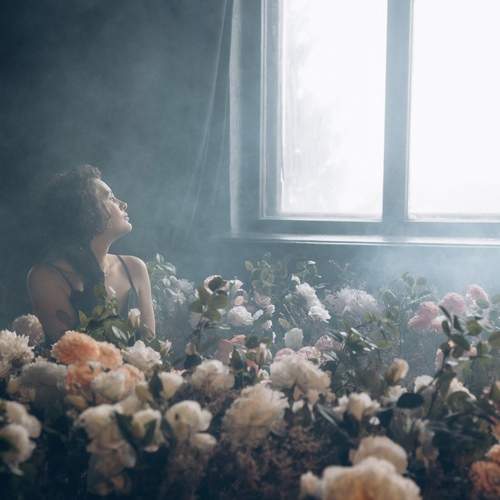 Photo #13502344
