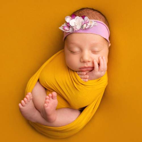 Photo #13502376
