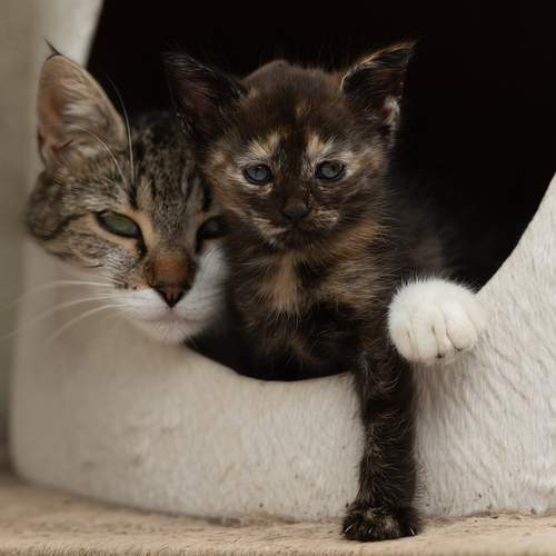 Photo #13502595