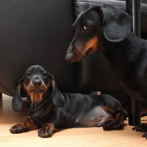 Photo #13502664