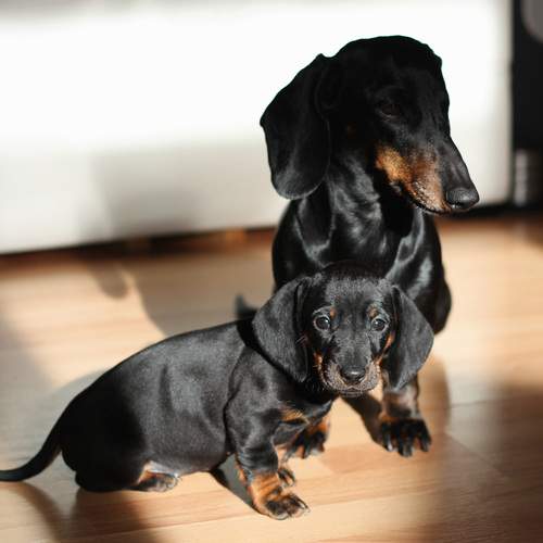 Photo #13502665