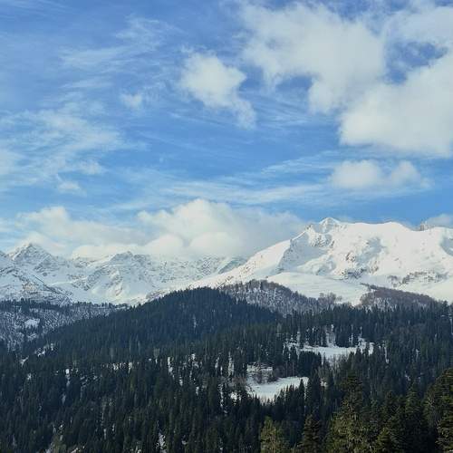 Photo #13502738