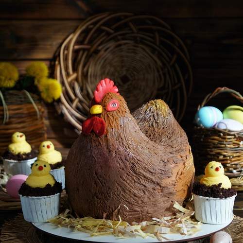 Photo #13502989