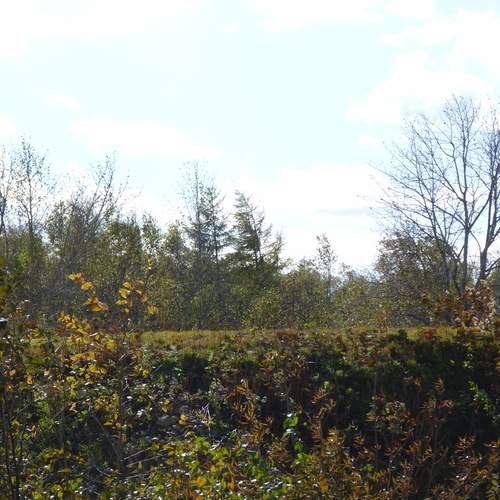 Photo #13503101