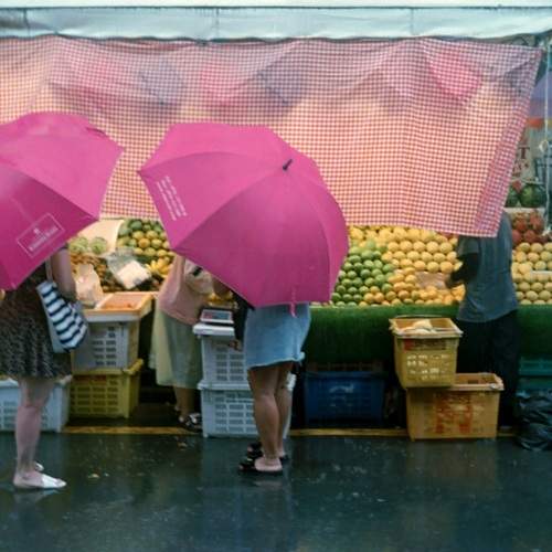 Photo #13503137