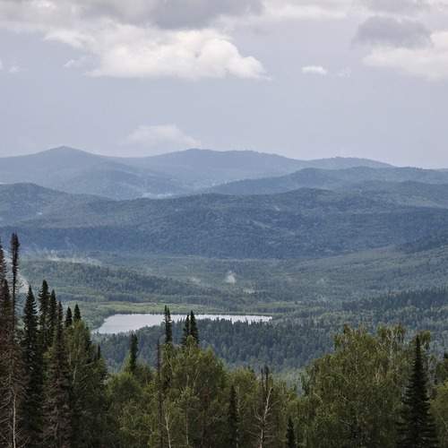 Photo #13503220