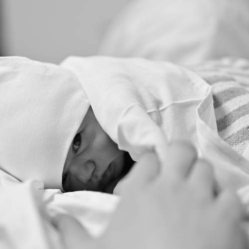 Photo #13503402