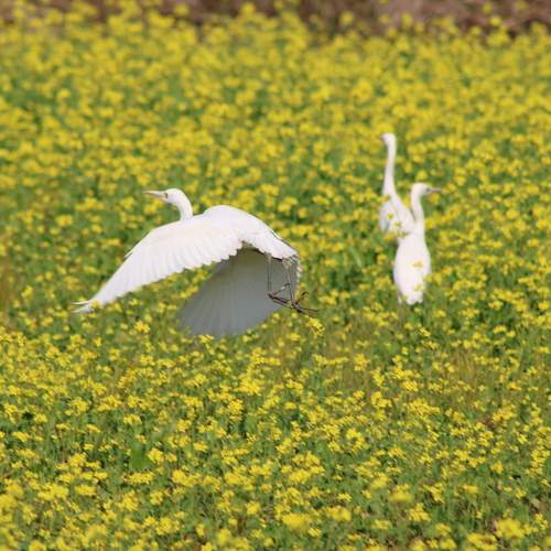 Photo #13503428