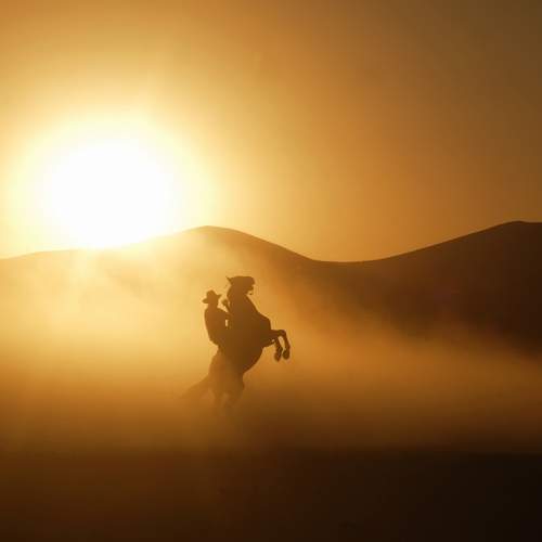 Photo #13503506