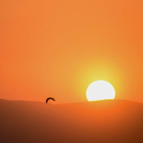 Golden sunset in Spain