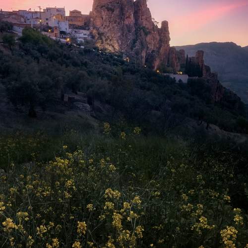 Photo #13503624