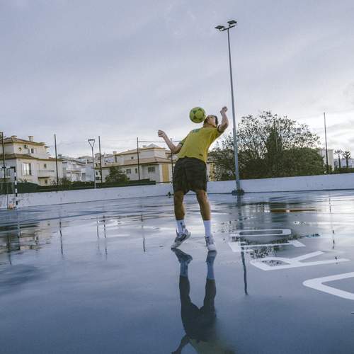 Photo #13503702