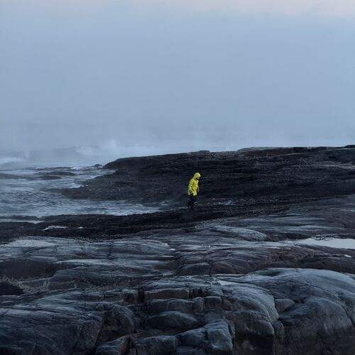 Photo #13503715