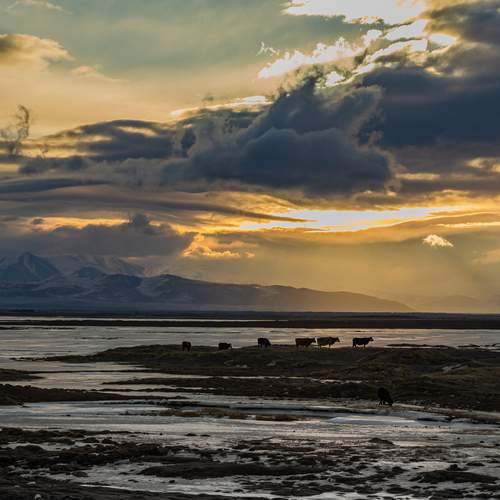 Photo #13503756