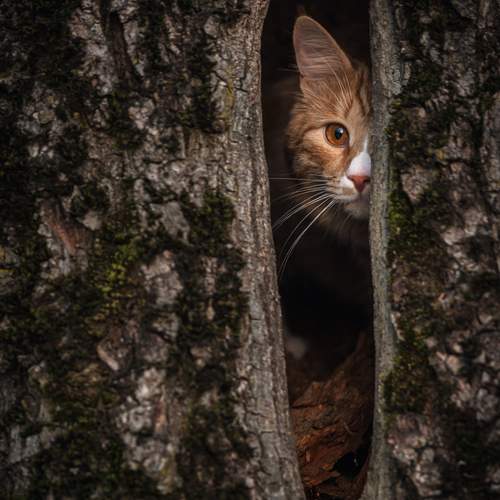 Photo #13503865