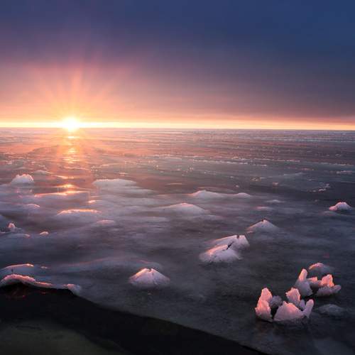 Photo #13504277