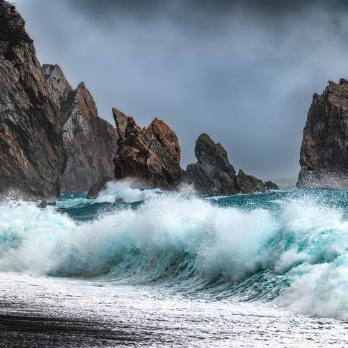 Photo #13504299