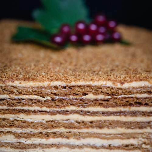Photo #13504452