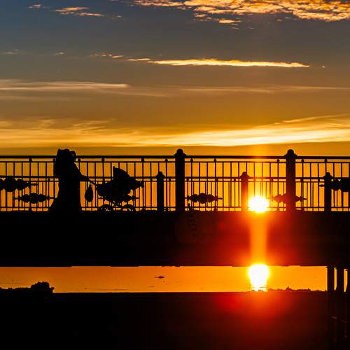 Photo #13504964
