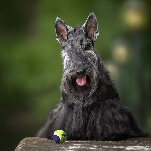 Photo #13505122