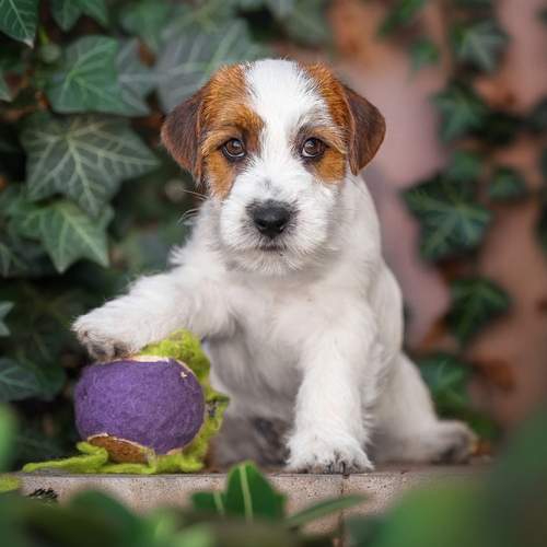 Photo #13505152