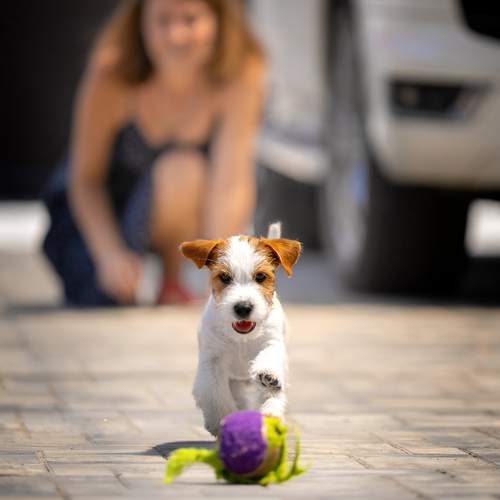 Photo #13505162