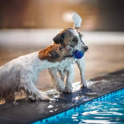Photo #13505229