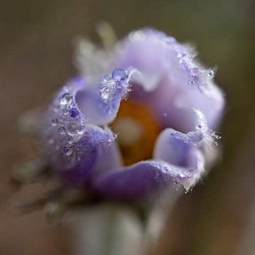 Photo #13505320