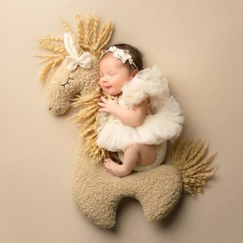 Photo #13505421